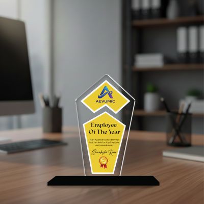 Employee Recognition Personalized Acrylic Award Trophy Custom with Name | Achievement Award for Employee, Corporate Recognition Thankyou Gift for Employee